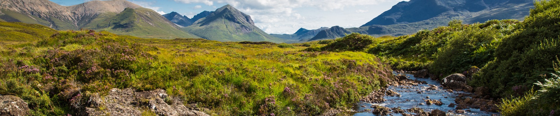 A stream in the Scottish Highlands